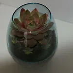 88 アパート クラクフ