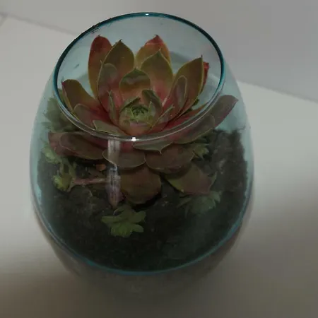 88 아파트 크라쿠프